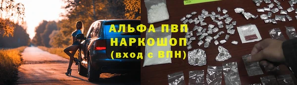 прущие грибы Богданович