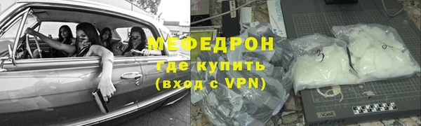прущие грибы Богданович