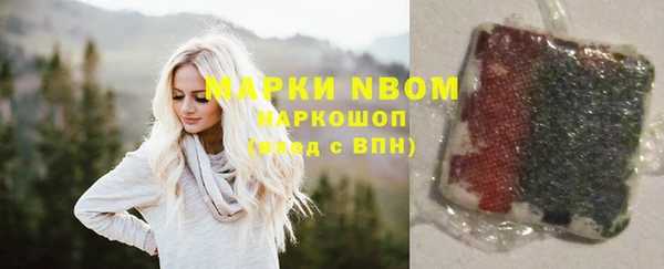 mdpv Бородино