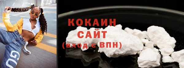 mdpv Бородино