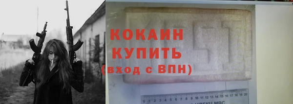прущие грибы Богданович