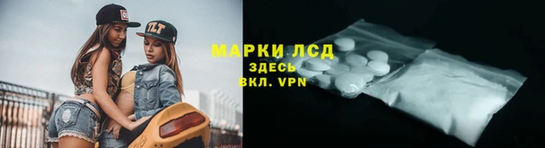 прущие грибы Богданович