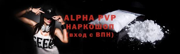 mdpv Бородино