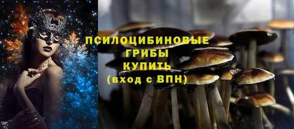 кристаллы Богородицк