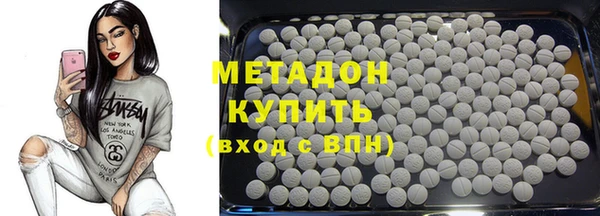 прущие грибы Богданович