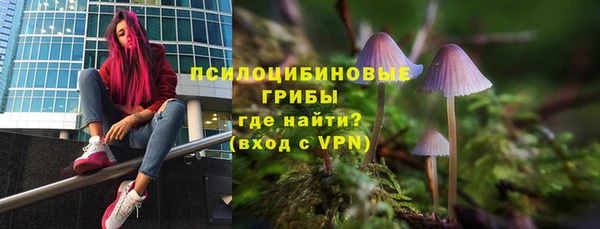 прущие грибы Богданович