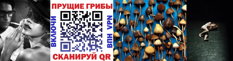 Галлюциногенные грибы мицелий  Карачев 